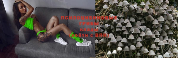 тгк Алексеевка